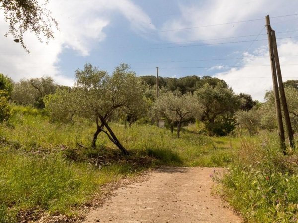 quadrivano in vendita a Cefalù