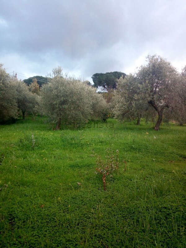 terreno agricolo in vendita a Cefalù
