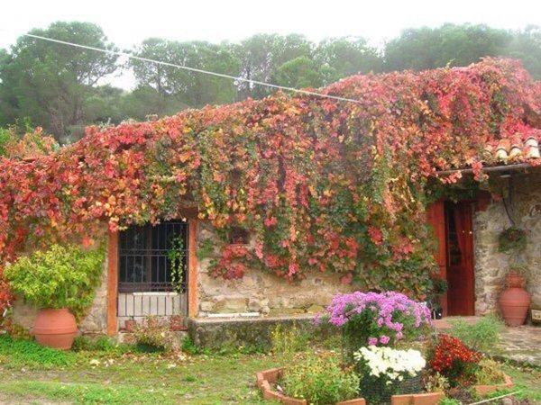 appartamento in vendita a Cefalù