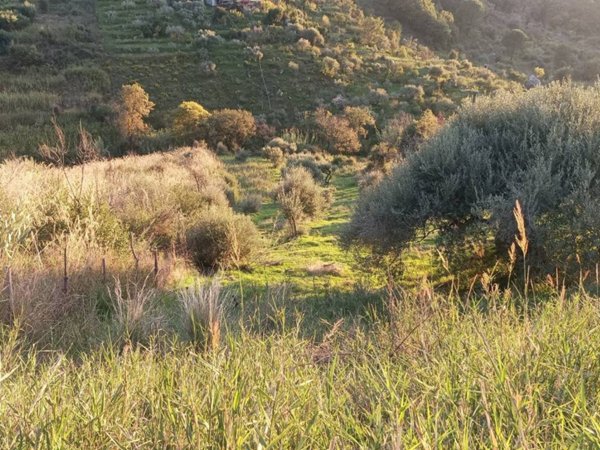terreno agricolo in vendita a Cefalù