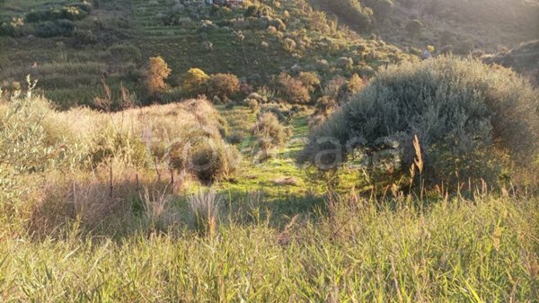 terreno agricolo in vendita a Cefalù
