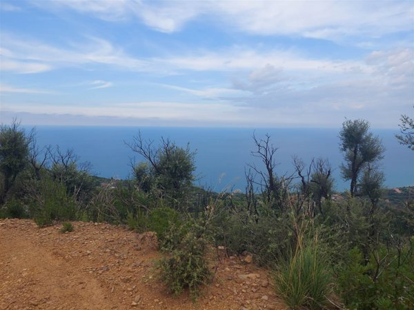 terreno agricolo in vendita a Cefalù