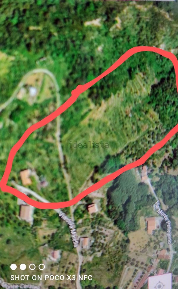 azienda agricola in vendita a Cefalù