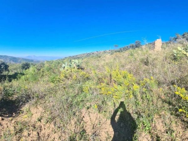 terreno agricolo in vendita a Cefalù