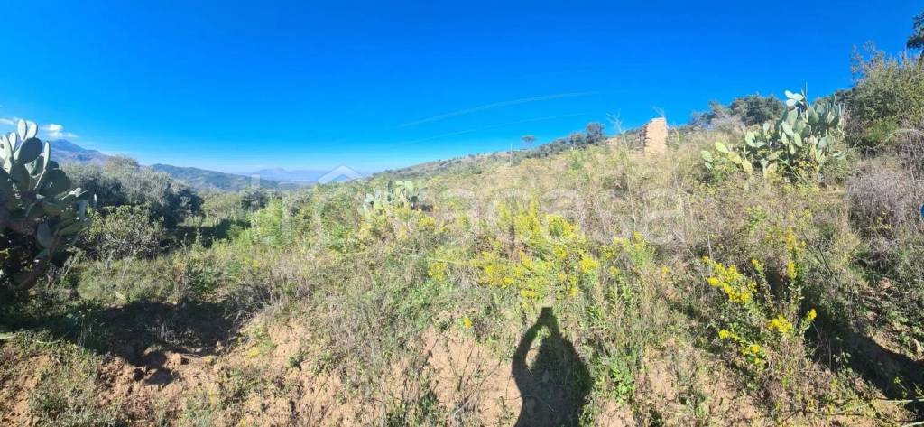 terreno agricolo in vendita a Cefalù
