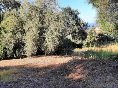 terreno edificabile in vendita a Cefalù