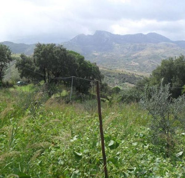 terreno agricolo in vendita a Cefalù