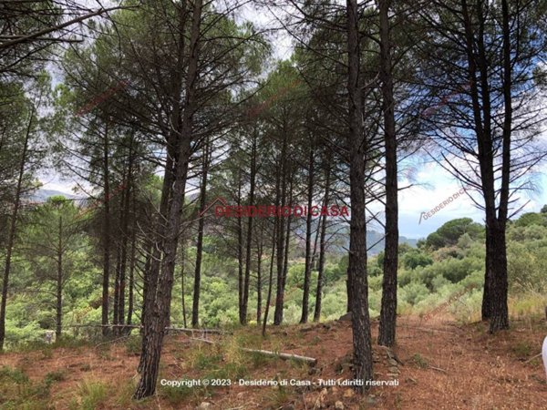 terreno agricolo in vendita a Cefalù