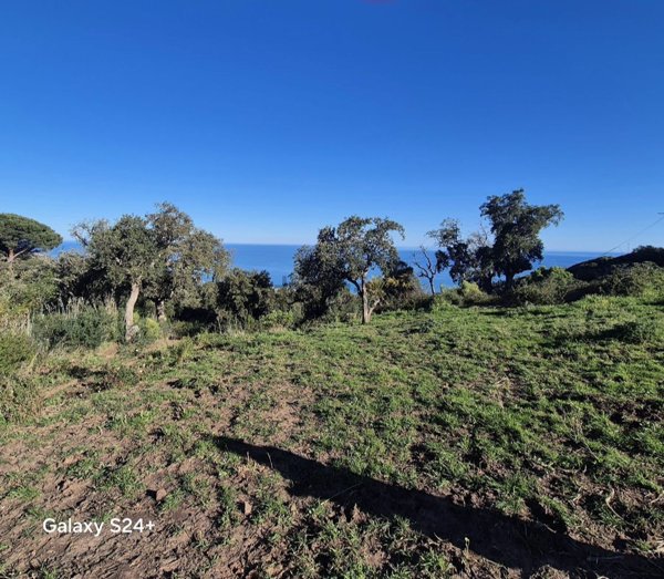 terreno agricolo in vendita a Cefalù