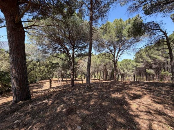 terreno in vendita a Cefalù