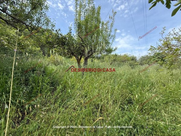 terreno agricolo in vendita a Cefalù in zona Gibilmanna