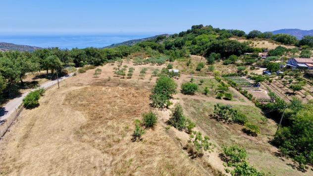 terreno agricolo in vendita a Cefalù