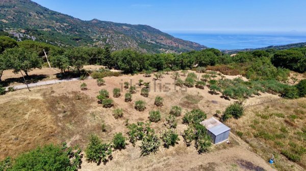 terreno agricolo in vendita a Cefalù in zona Gibilmanna