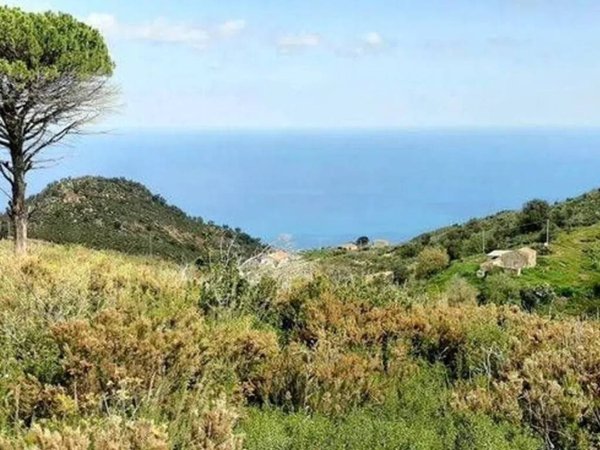 terreno agricolo in vendita a Cefalù