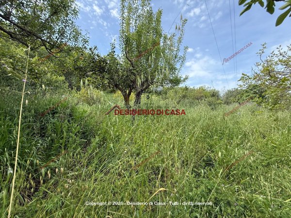 terreno agricolo in vendita a Cefalù in zona Gibilmanna