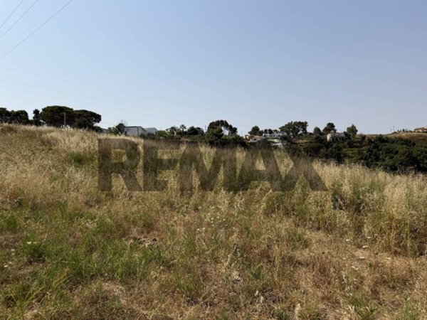 casa indipendente in vendita a Cefalù in zona Gibilmanna