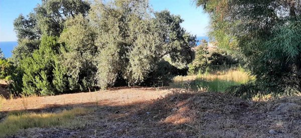 terreno edificabile in vendita a Cefalù