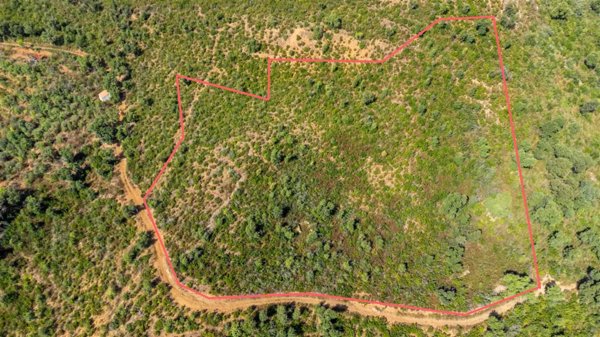 terreno agricolo in vendita a Cefalù in zona Gibilmanna