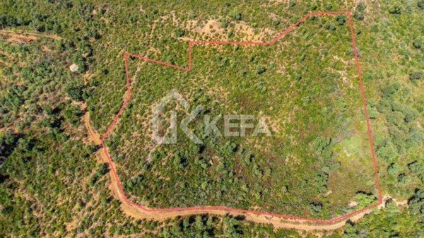 terreno agricolo in vendita a Cefalù in zona Gibilmanna