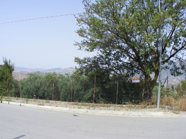 terreno agricolo in vendita a Cerda