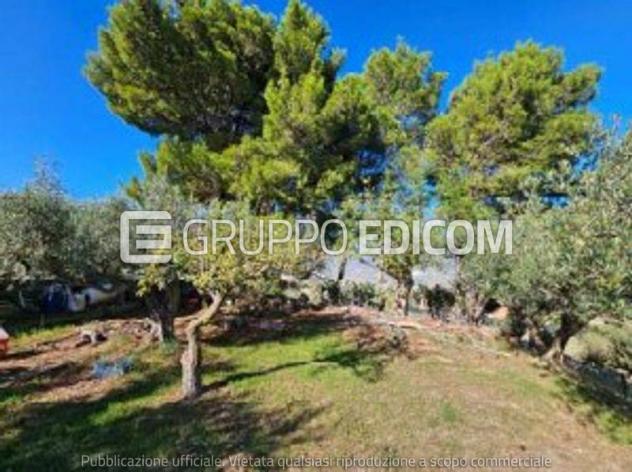 terreno agricolo in vendita a Cerda