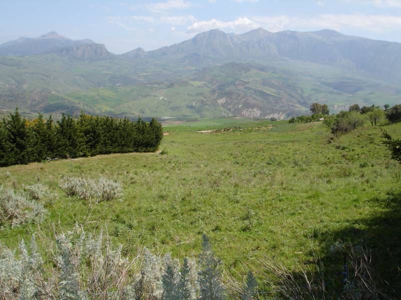 terreno edificabile in vendita a Cerda in zona Fontanarossa