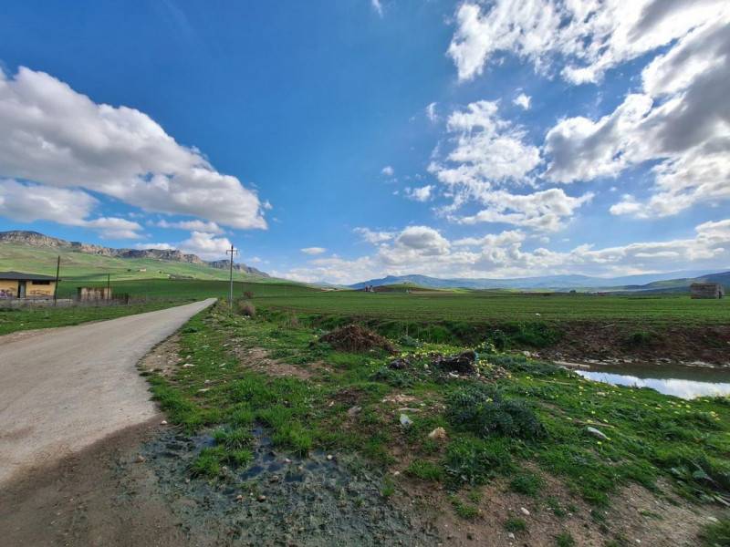 terreno agricolo in vendita a Ciminna