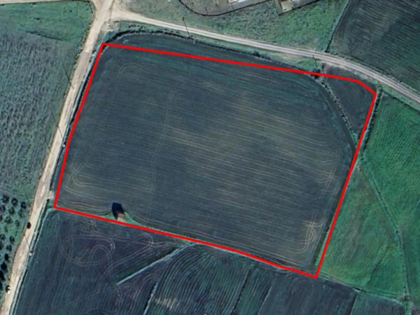 terreno agricolo in vendita a Ciminna