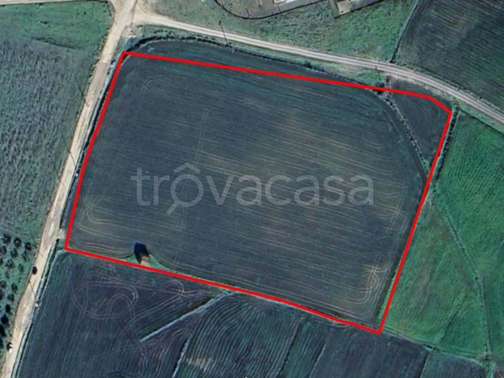 terreno agricolo in vendita a Ciminna