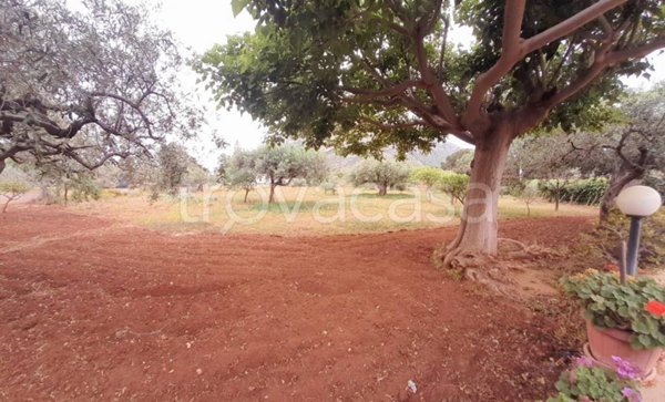 terreno agricolo in vendita a Cinisi