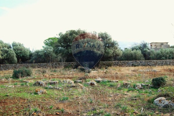 terreno agricolo in vendita a Cinisi