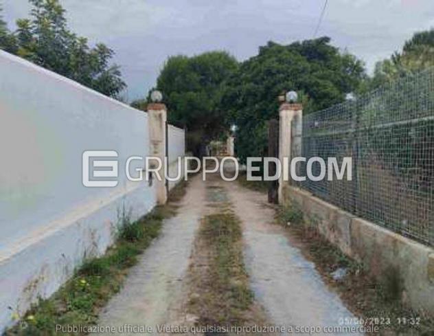 terreno agricolo in vendita a Cinisi