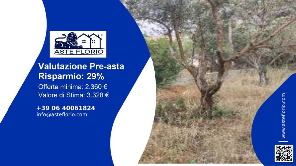 terreno agricolo in vendita a Cinisi