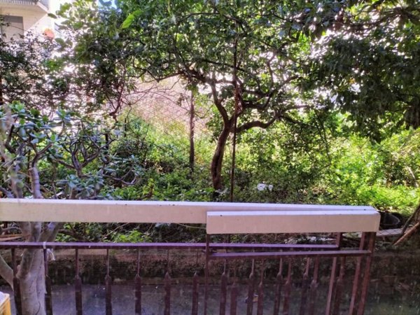 esavano in vendita a Cinisi