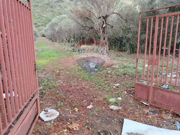 terreno agricolo in vendita a Cinisi
