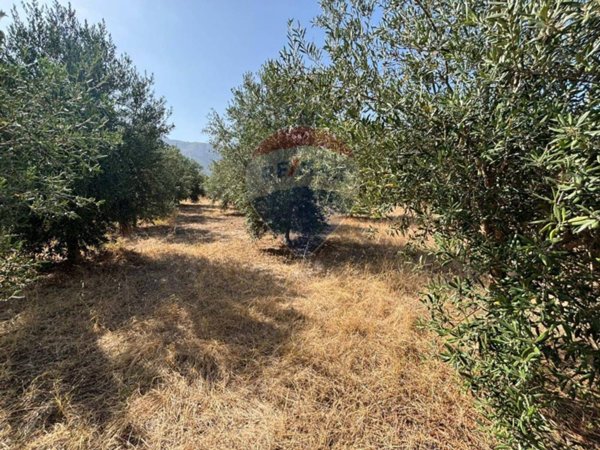 casa indipendente in vendita a Cinisi