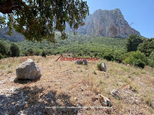 terreno agricolo in vendita a Cinisi