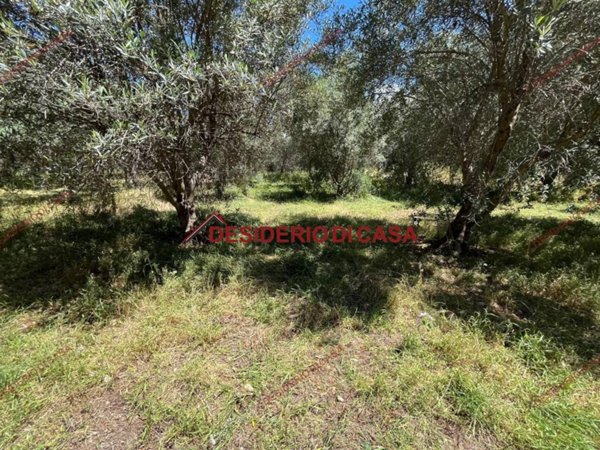 terreno agricolo in vendita a Cinisi