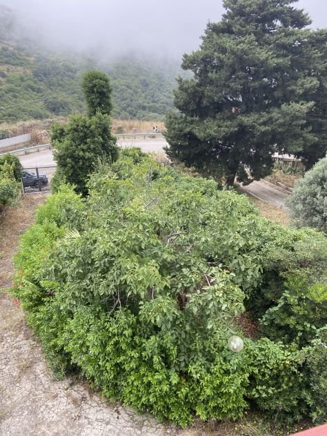 casa indipendente in vendita a Cinisi in zona Punta Raisi
