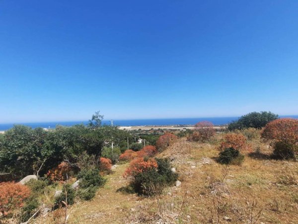 terreno agricolo in vendita a Cinisi