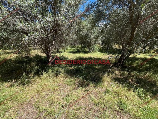 casa indipendente in vendita a Cinisi