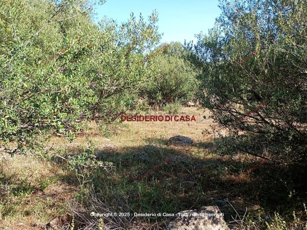terreno agricolo in vendita a Cinisi