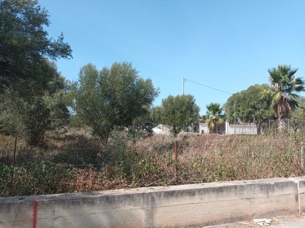 terreno agricolo in vendita a Cinisi