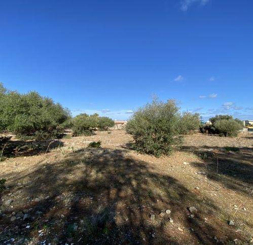 terreno agricolo in vendita a Cinisi