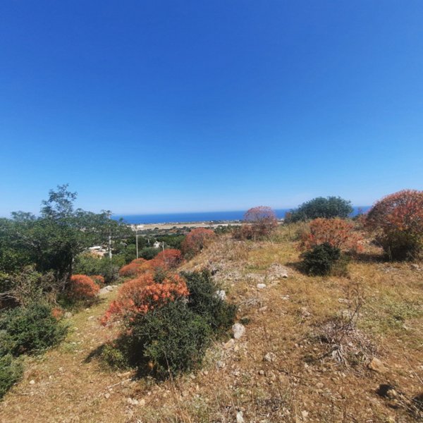 ufficio in vendita a Cinisi