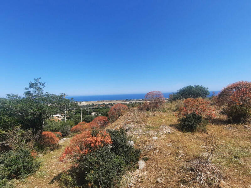 terreno agricolo in vendita a Cinisi