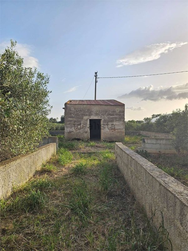 terreno agricolo in vendita a Cinisi