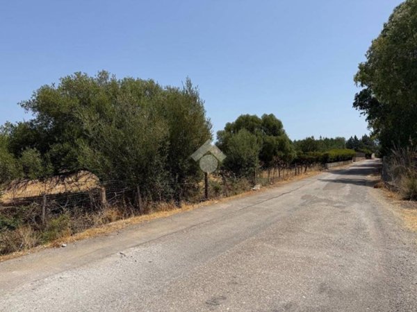terreno agricolo in vendita a Cinisi