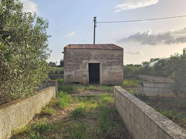 terreno agricolo in vendita a Cinisi