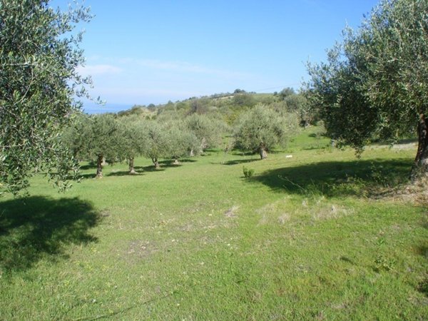 terreno agricolo in vendita a Collesano